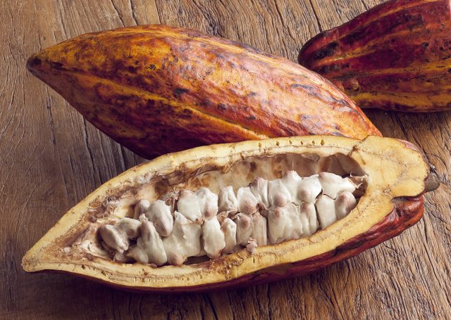 Cacao as a Superfood