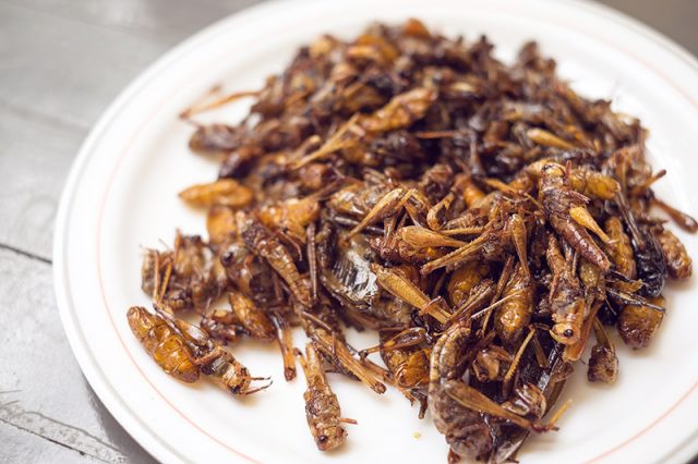 Chapulines (Grasshoppers)